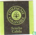 Sencha Calida - Bild 3