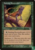 Basking Rootwalla - Image 1