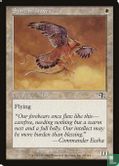 Suntail Hawk - Image 1