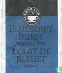 Blueberry  Bust - Image 1