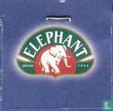 Elephant Depuis 1896 - Image 1