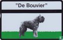 "De Bouvier" - Afbeelding 1