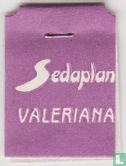 Sedaplan Valeriana  - Image 3