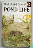 Pond Life - Image 1