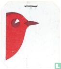 [Vogel]  - Bild 1