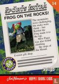Frog on the Rocks! - Afbeelding 2