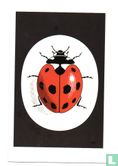 I'm part of the Ladybird generation! Vintage Ladybird logo - Afbeelding 1
