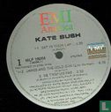 Kate Bush - Image 3