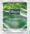 brandnetel - Image 1
