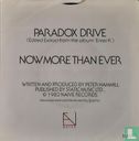 Paradox Drive - Image 2