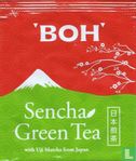 Sencha Green Tea  - Image 1