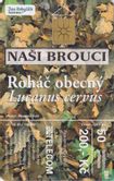 Nasi Brouci - Image 1