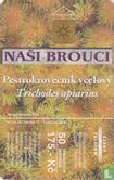 Nasi Brouci - Image 1