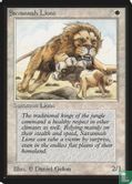 Savannah Lions - Image 1