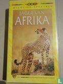 Jager van Afrika - Afbeelding 1