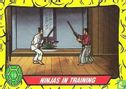 Ninjas in Training - Afbeelding 1