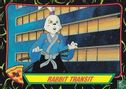 Rabbit Transit - Image 1