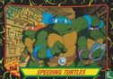 Speeding Turtles - Image 1