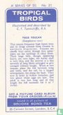 Toco Toucan - Afbeelding 2