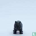 Wombat - Bild 1