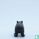 Wombat - Bild 2