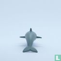 Dolphin - Image 2