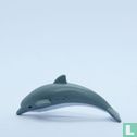 Dolphin - Image 3