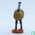 Emu - Bild 1