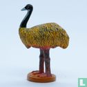 Emu - Bild 3