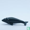 Baleine franche australe ou baleine australienne - Image 3