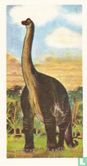 Brachiosaurus - Image 1