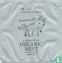 Organic Mint - Image 1
