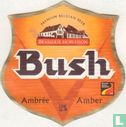 Bush Ambree Amber - Image 1