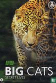 Big Cats - Secret Lives - Afbeelding 1