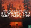He Wants You / Babe, i'm on Fire - Afbeelding 1