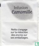 Infusion Camomille - Bild 2