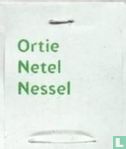 Ortie Netel Nessel - Bild 1