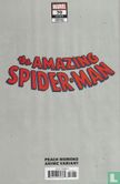 The Amazing Spider-Man 70 - Image 2