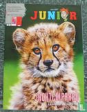 Kindertijdschrift Junior - Bild 1
