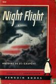 Night Flight - Afbeelding 1