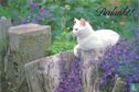 Witte poes met stronken en paarse bloemen - Afbeelding 1