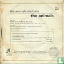 The Animals Are Back - Afbeelding 2