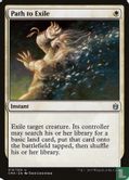 Path to Exile - Image 1