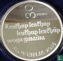 Slovenia 30 euro 2015 (PROOF) "500th anniversary of the first Slovenian printed text" - Image 1