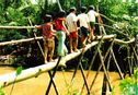 Monkey bridge - Dong Thap - Afbeelding 1