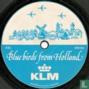 Blue Birds from Holland - Bild 2