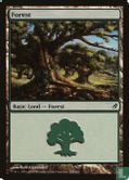Forest - Image 1