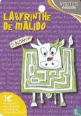 Labyrinthe De Malido - Image 1