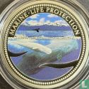 Palau 5 dollars 2002 (PROOF) "Marine Life Protection - Sperm whale" - Afbeelding 2