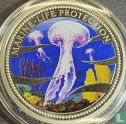 Palau 1 dollar 2001 (PROOF - gekleurd) "Marine Life Protection - Jellyfish" - Afbeelding 2